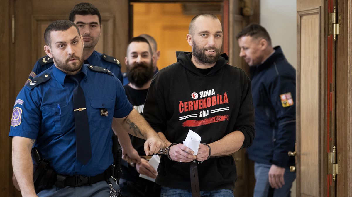 Čermák půjde za výzvy k násilí vůči politikům do vězení, potvrdil soud